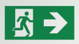 PIKT-O-NORM pictogram 31 VLUCHTW.RE.